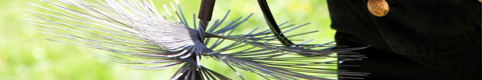 Banner - Frank Nötte